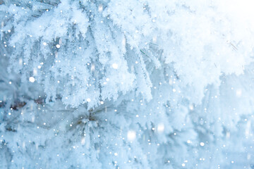 Snowy pine branches with falling snowflakes.