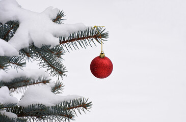 Red Christmas Ornament Hanging on a Snow-Covered Pine Branch copy space