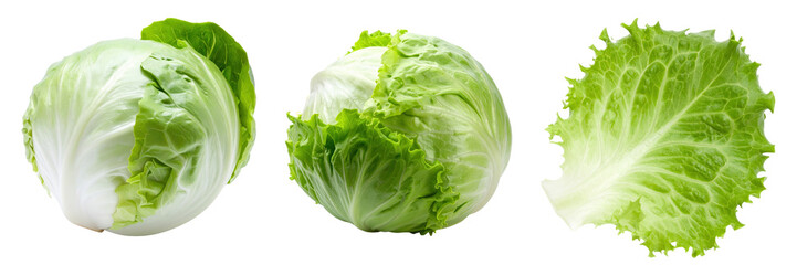 Fresh Cabbage close up: A trio of crisp, vibrant cabbages showcased in various perspectives, offering a vivid display of the fresh and healthy nature of this staple vegetable.
