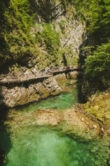 Vintgar Gorge in Slovenia's Julian Alps