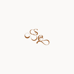 wedding initial concept ES luxury minimalist logo design caligraphic style monogram letter