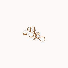 wedding initial concept EQ luxury minimalist logo design caligraphic style monogram letter