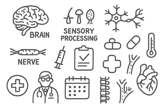 Brain and Sensory Icons. Hand-drawn doodle illustration gray matter sensory processing gray matter, brain, sensory receptors,