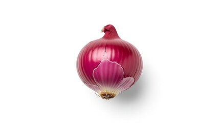 A single red onion, whole and unpeeled, isolated on a clean white background, viewed from directly above with a subtle shadow.