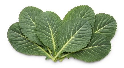 Fresh green collard greens leaves arranged neatly on a clean white background, showcasing their vibrant color and natural texture.