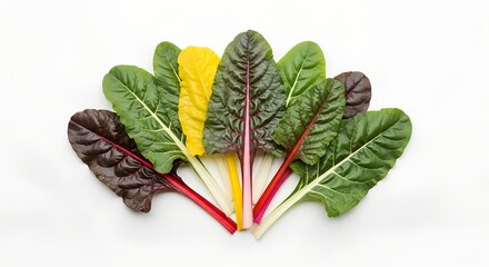 A vibrant fan arrangement of fresh, colorful chard leaves, including green, red, and yellow varieties, displayed on a clean white background.
