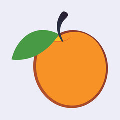 Stylized Orange Fruit Illustration with Simple Shapes and Bold Colors