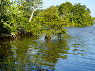 The entry to a winding creek on the rappahannock river