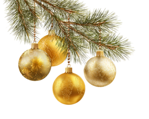 Christmas golden decorative balls and pine branches