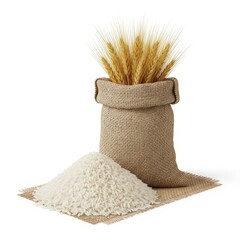 Burlap sack of rice with wheat stalks and pile of grains