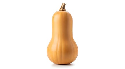 A single butternut squash stands upright against a clean, bright white background, showcasing its smooth, tan skin and curved form.