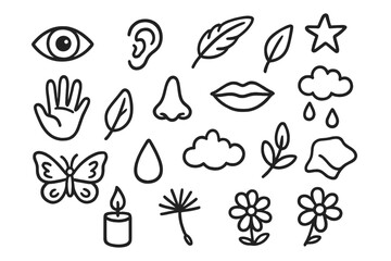 Sensory and Life Icons. Hand-drawn doodle illustration sensory awareness eye, ear, hand, nose, mouth, feather, leaf, flower,