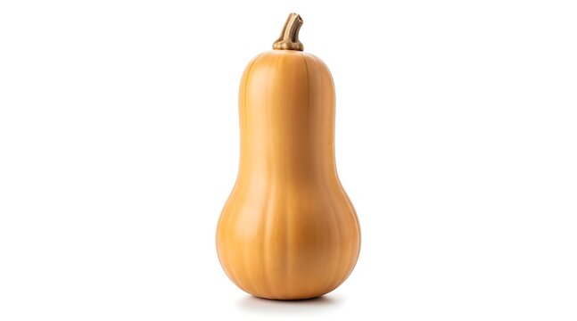 A single butternut squash stands upright against a clean, bright white background, showcasing its smooth, tan skin and curved form. - Powered by Adobe