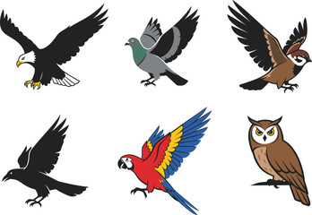 Bird illustration set featuring eagle, pigeon, sparrow, crow, parrot, and owl in colorful flying and perched poses for design.