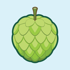 Illustration of a bright green Sugar Apple against a light blue background