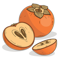 Illustration of a whole persimmon fruit and two cut halves revealing seeds