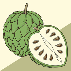Illustration of a whole and halved custard apple fruit with seeds visible inside
