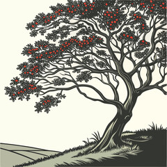 Stylized illustration of a mature tree with red berries and dark leaves on a gentle slope