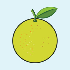Stylized citrus fruit illustration with a green leaf on light blue background