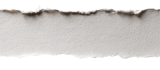 Torn strip of off-white paper with a rough texture and irregular edges