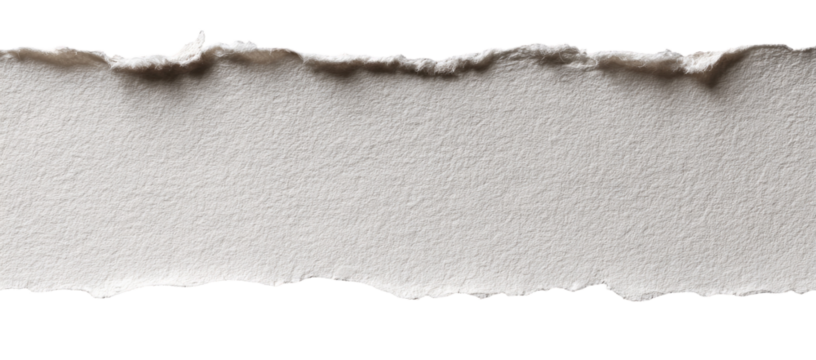 Torn strip of off-white paper with a rough texture and irregular edges