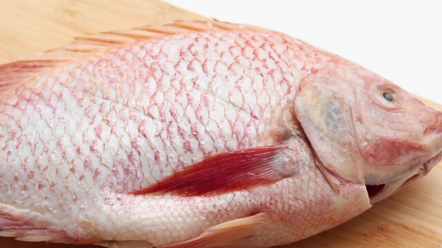 Close Up view of Red Tilapia fish on a wooden board