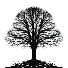 Silhouette of a large tree with many branches isolated on white background