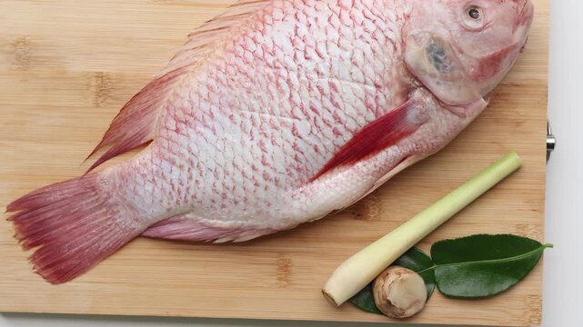 One fresh Red Tilapia fish and Galangal, lemongrass, kaffir lime leaves on a wooden board on a white background.