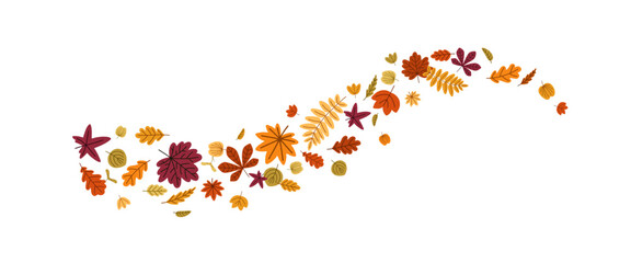 Autumn tree leaf flying in air, twirling. Fall leaves in curve motion, scattered seasonal foliage falling in dynamic flow. Natural decor. Flat vector illustration isolated on white background