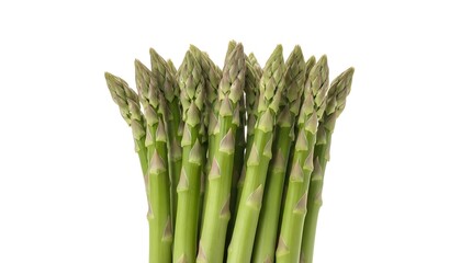 Fresh green asparagus spears, tightly bundled, isolated on white background.
