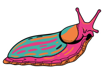 Colorful slug illustration in children's style. An agricultural pest, a carrier of fungal and viral diseases. Educational insect design for kids biology lessons.