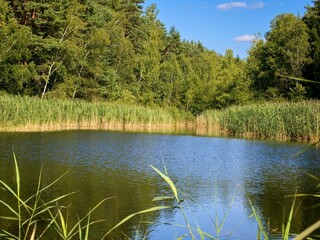 Clear day at a picturesque pond in Bohemian Paradise. Greenery all around.