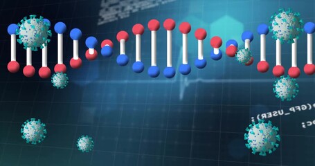Animation of 3d dna, virus with data processing on digital interface - Powered by Adobe