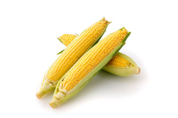 とうもろこし　Sweet Corn on White Background