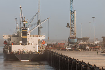 Fototapeta premium cranes in harbor