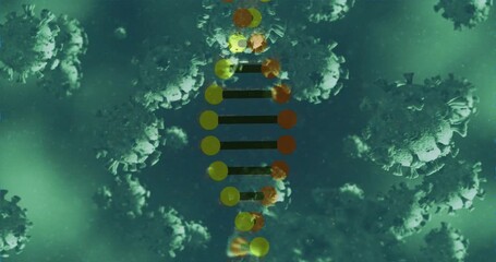 Animation of 3d dna rotating with virus on digital interface - Powered by Adobe