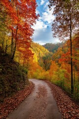 Obraz premium Scenic winding road going through a colorful autumn forest in the Great Smoky Mountains National Park