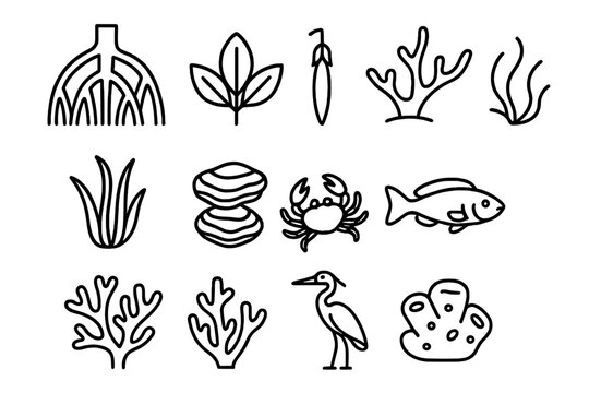 Mangrove Ecosystem Icons. Outline icon set of mangrove ecosystems: mangrove roots, leaves, propagules, algae,