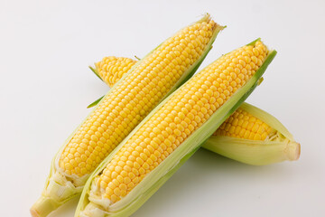 新鮮なとうもろこし　Fresh Sweet Corn