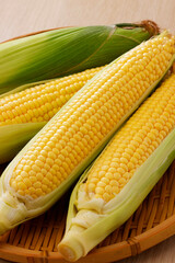 新鮮なとうもろこし　Fresh Sweet Corn