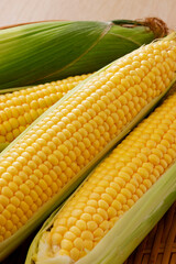 新鮮なとうもろこし　Fresh Sweet Corn