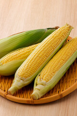 新鮮なとうもろこし　Fresh Sweet Corn
