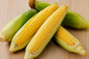 新鮮なとうもろこし　Fresh Sweet Corn
