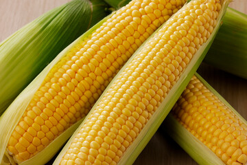 新鮮なとうもろこし　Fresh Sweet Corn