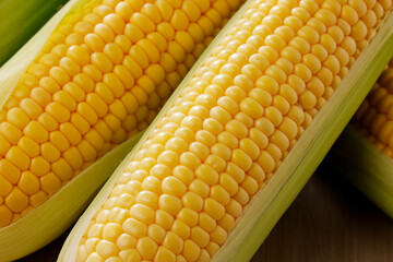新鮮なとうもろこし　Fresh Sweet Corn