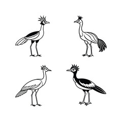 Black white silhouette bird vector