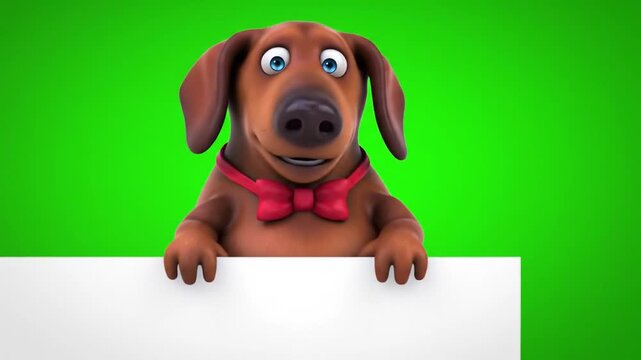 Animated dachshund dog with a red bow tie peeks over a white board on vibrant green screen, perfect for humorous marketing campaigns and pet-related projects