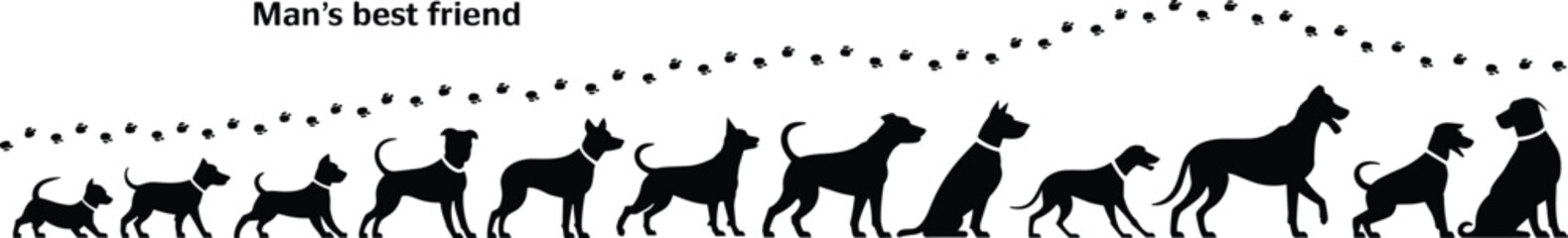 Silhouettes of various dog breeds and puppies with paw prints trail, “Man’s best friend” text, vector pet illustration.