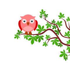 Cute cartoon owls icon isolated on transparent background