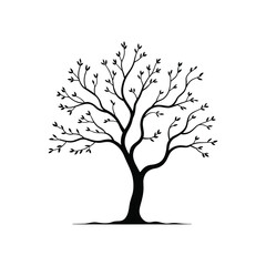 Silhouette of a bare tree with delicate branches and small leaves in spring or autumn